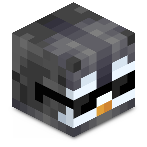 Minecraft-huvud för JonWe